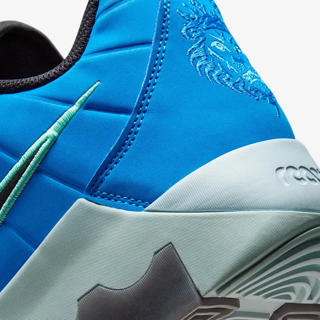 NIKE LEBRON WITNESS 9 EP PHOTO BLUE